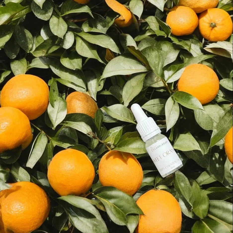Huile parfumée d’intérieur à l’orange douce présentée au milieu d’oranges fraîches, idée cadeau idéale pour créer une ambiance lumineuse et chaleureuse – KoolKado